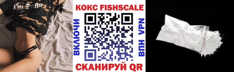 магазин продажи наркотиков  Алатырь  КОКАИН Эквадор 