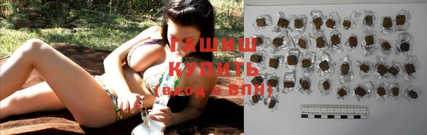 индика Абаза