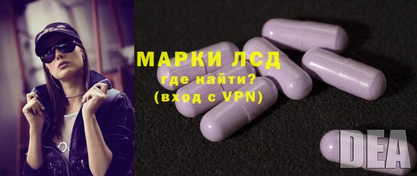 индика Абаза