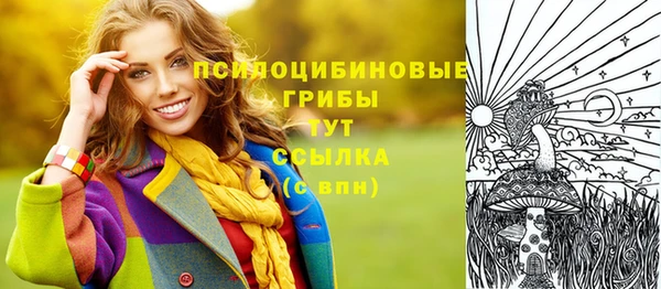 индика Абаза