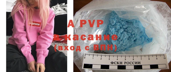 индика Абаза