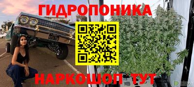 гидра Абакан