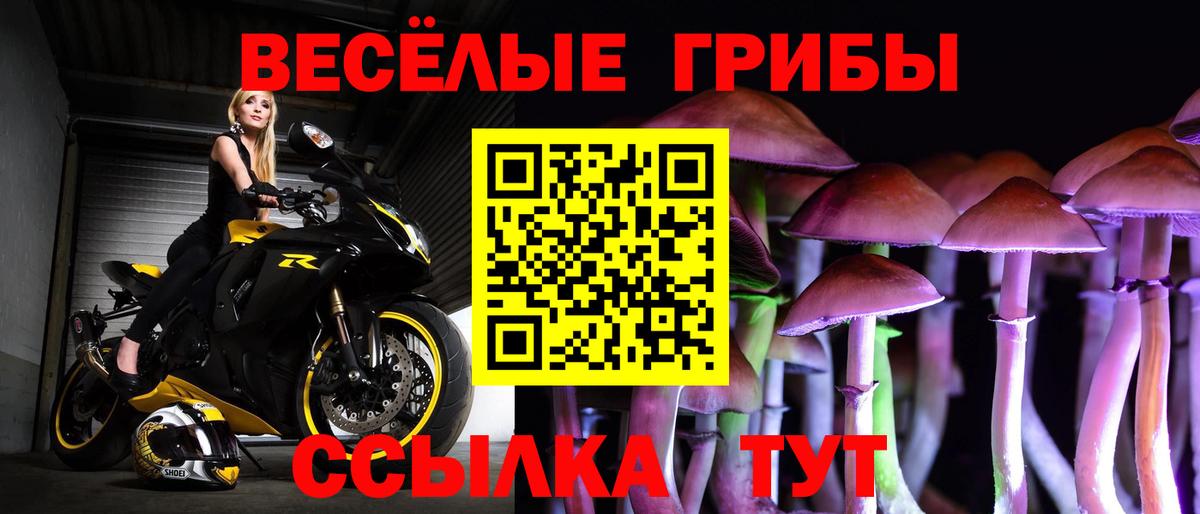 Галлюциногенные грибы мухоморы  Вход с VPN  купить  сайты  Алатырь 